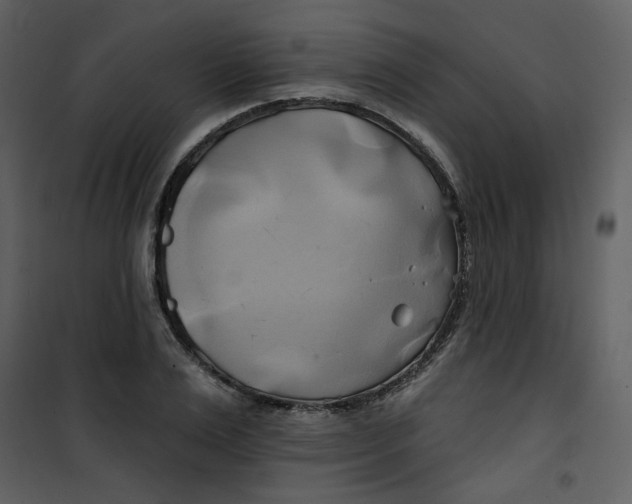 X0000100780983200807171438