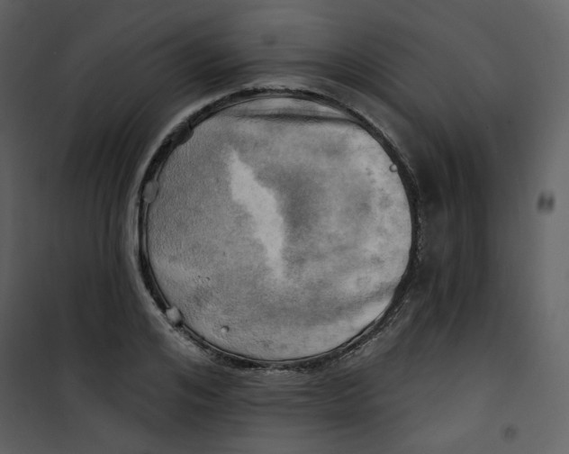 X0000100780984200807171438