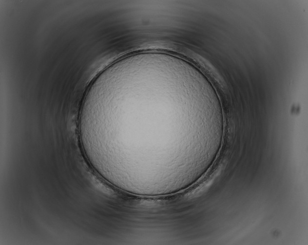 X0000100780985200807171438