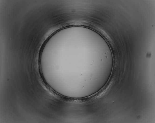 X0000100780986200807171438