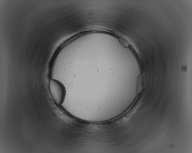 X0000100780987200807171438