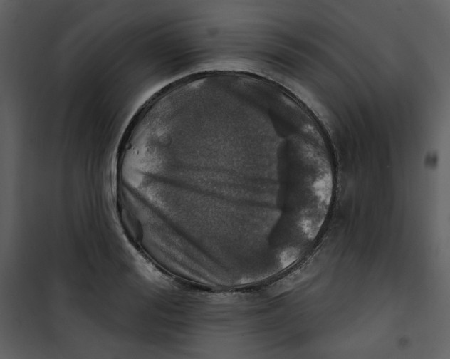 X0000100780988200807171438