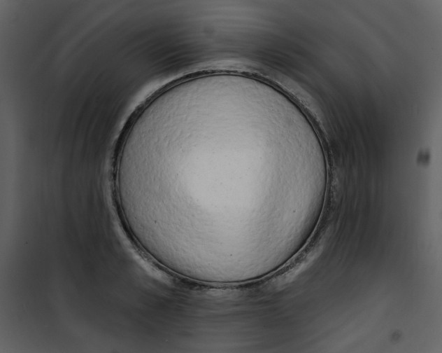X0000100780989200807171438