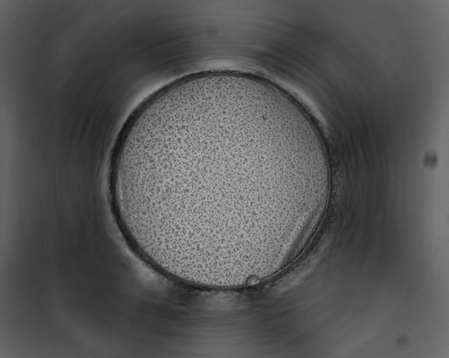 X0000100780991200807171438