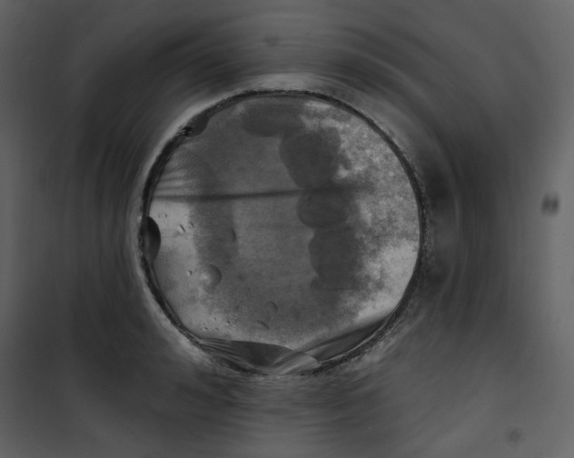 X0000100780992200807171438