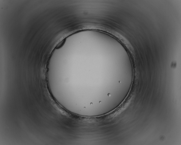 X0000100780993200807171438