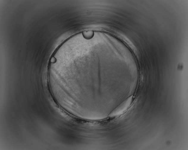 X0000100780994200807171438
