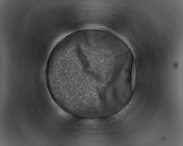 X0000100780995200807171438