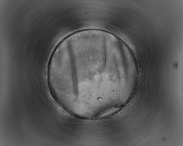 X0000100780996200807171438