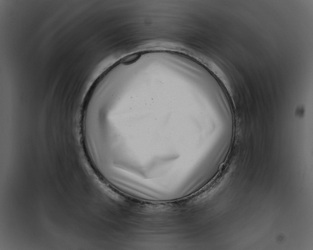 X0000100780997200807171438