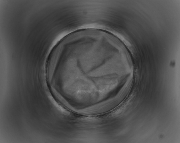 X0000100780998200807171438