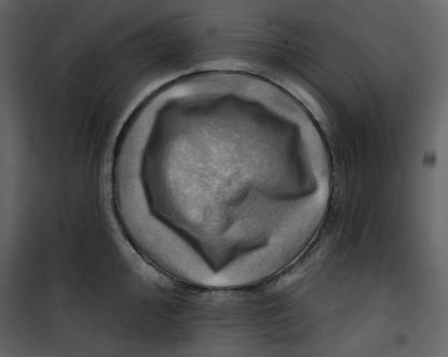 X0000100781000200807171438