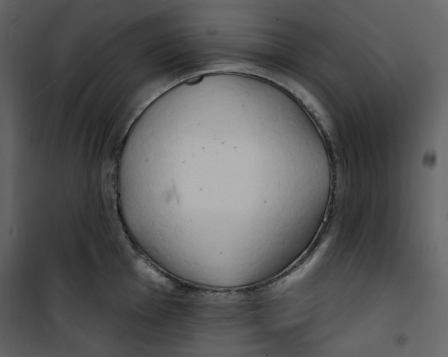 X0000100781001200807171438