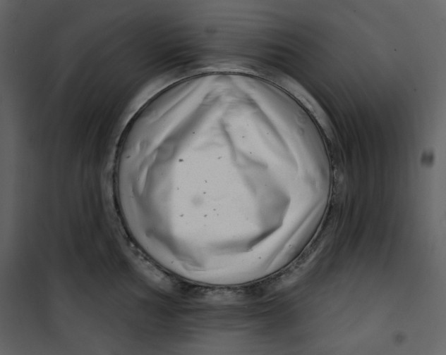 X0000100781002200807171438