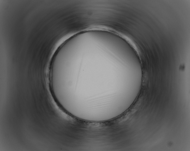 X0000100781003200807171438