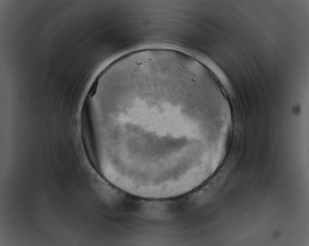 X0000100781004200807171438