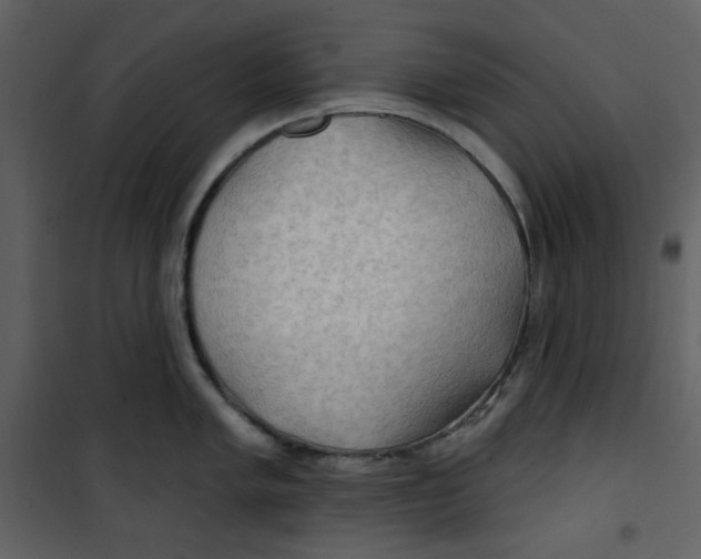 X0000100781005200807171438