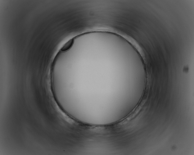 X0000100781006200807171438