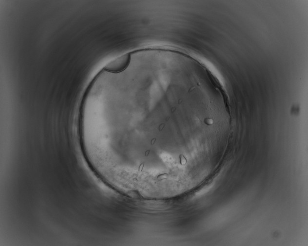 X0000100781007200807171438