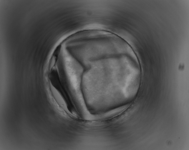X0000100781008200807171438