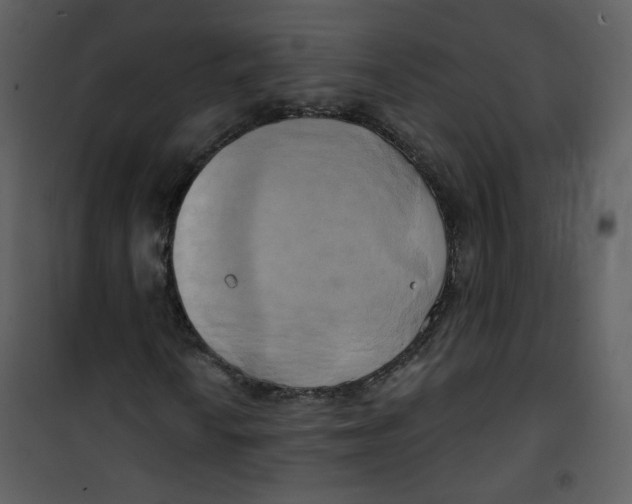 X0000100781010200807171437
