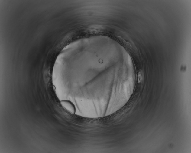 X0000100781011200807171437