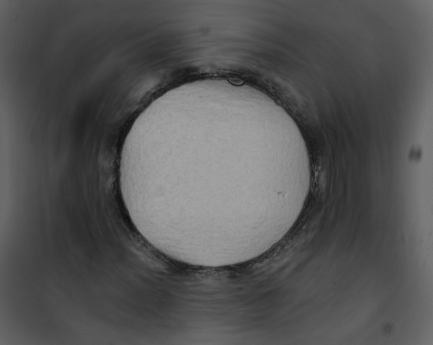 X0000100781012200807171437