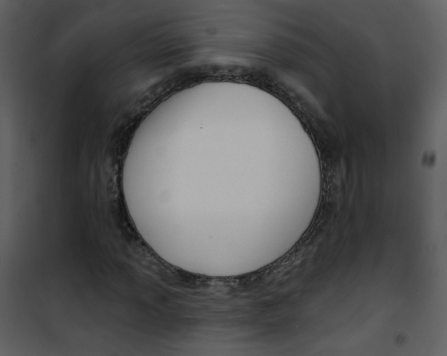 X0000100781013200807171437