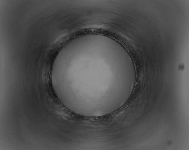 X0000100781014200807171437