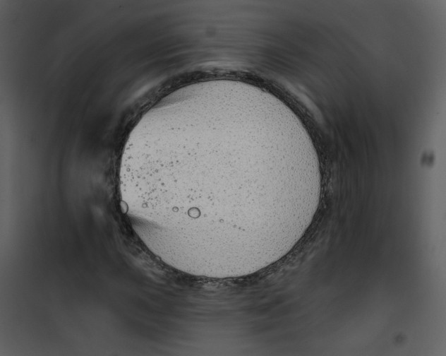 X0000100781015200807171437