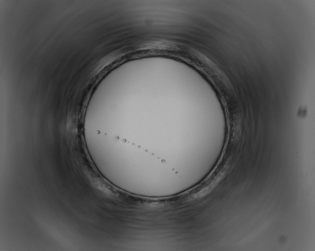 X0000100781017200807171437
