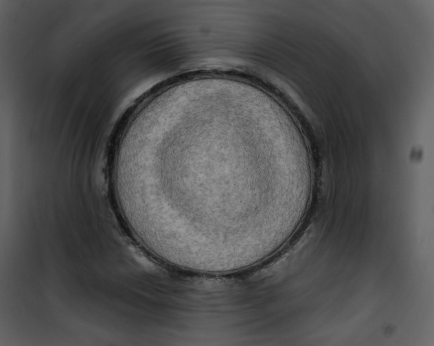 X0000100781018200807171437