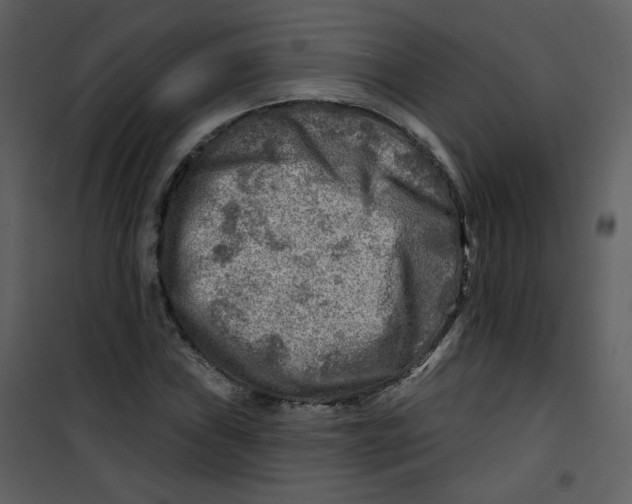 X0000100781019200807171437