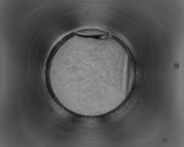 X0000100781020200807171437