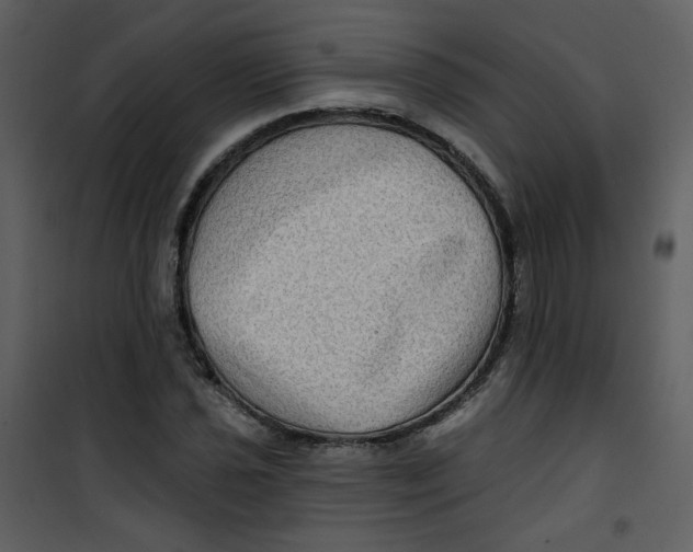 X0000100781021200807171437
