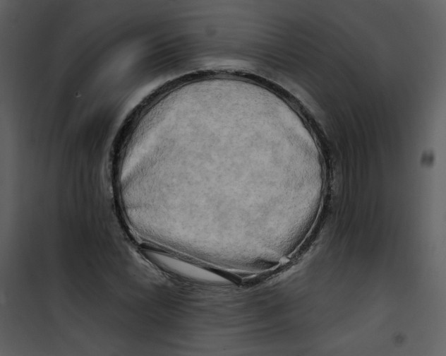 X0000100781022200807171437