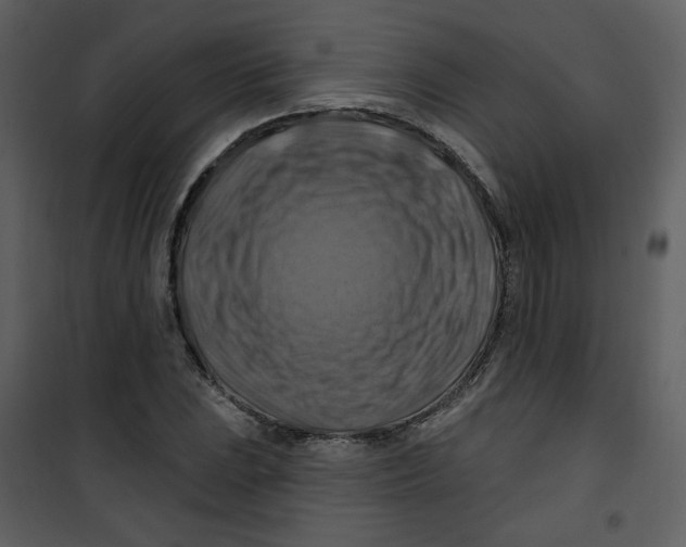 X0000100781023200807171437