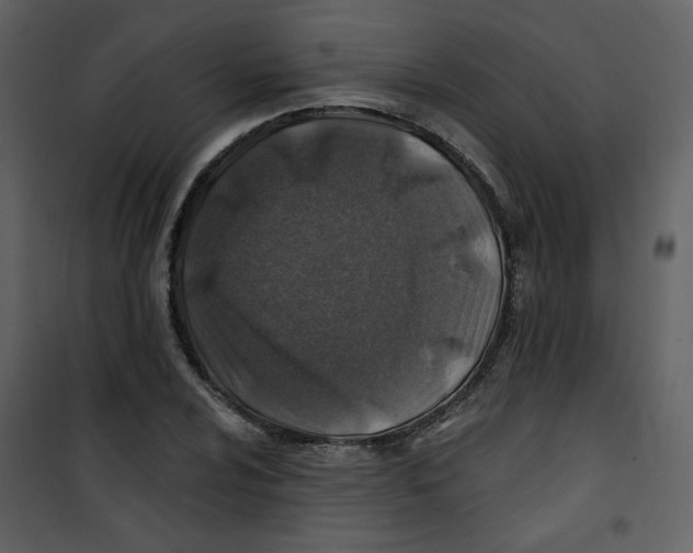 X0000100781024200807171437