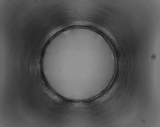 X0000100781025200807171437