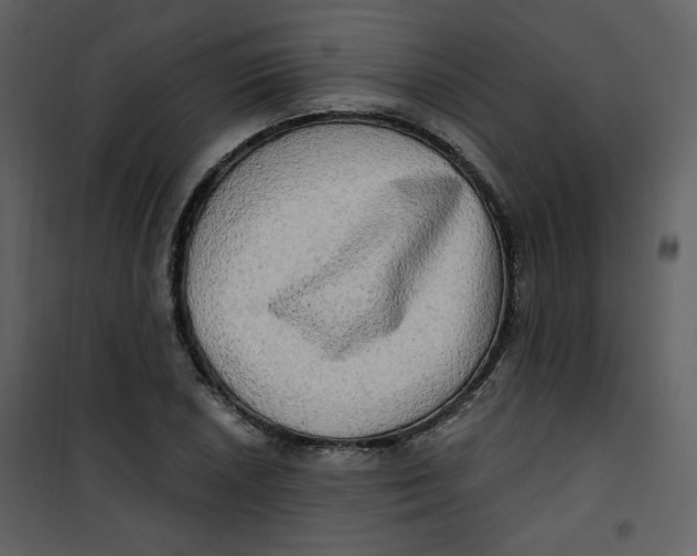 X0000100781026200807171437
