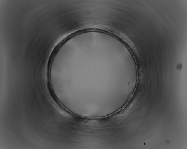 X0000100781028200807171437