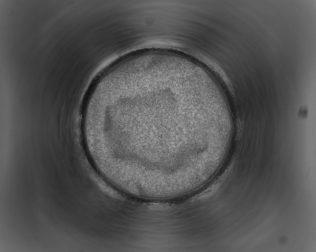 X0000100781029200807171437