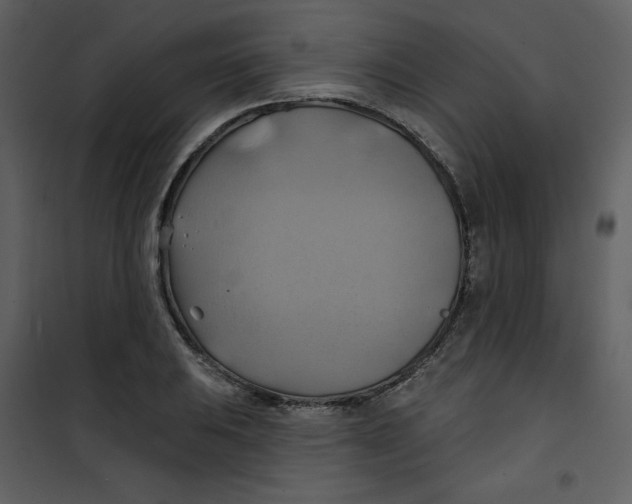 X0000100781031200807171437