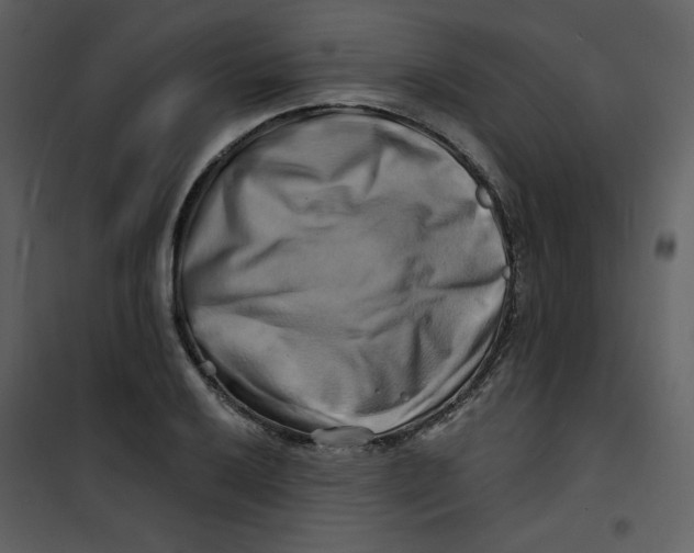 X0000100781032200807171437