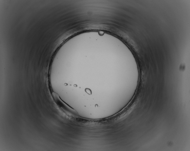 X0000100781033200807171437