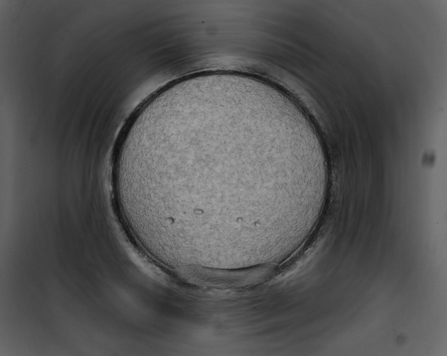 X0000100781034200807171437