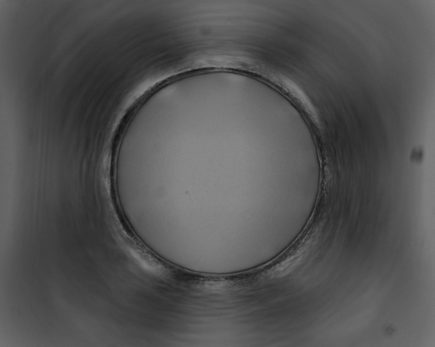 X0000100781035200807171437
