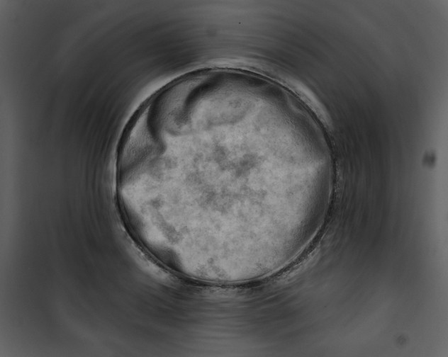 X0000100781036200807171437