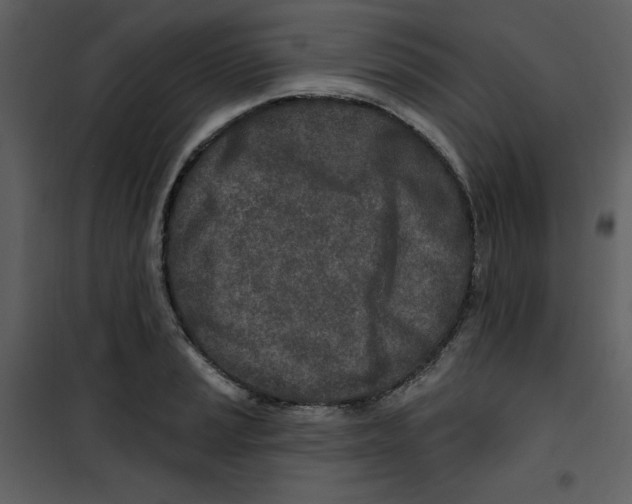 X0000100781037200807171437