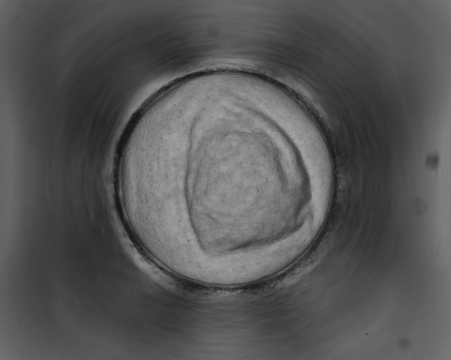 X0000100781038200807171437